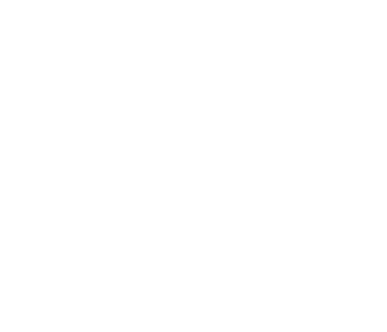 Property Damage Claims Expert 